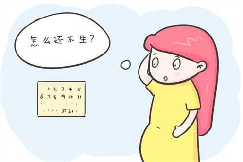 2024惠州试管供卵助孕机构排名最新公布！附借卵生男孩包成功费用详情，大连