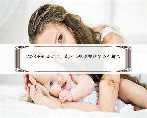 2023年武汉助孕，武汉正规供卵助孕公司排名