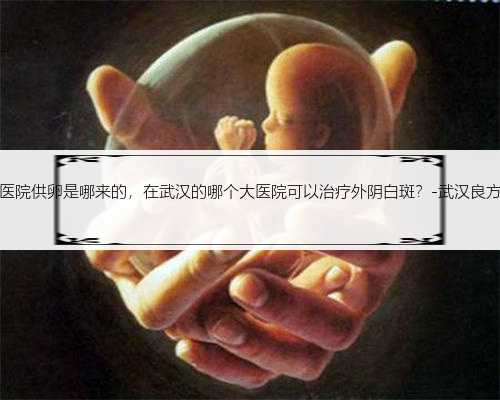 武汉医院供卵是哪来的，在武汉的哪个大医院可以治疗外阴白斑？-武汉良方医