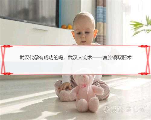 武汉代孕有成功的吗，武汉人流术——宫腔镜取胚术