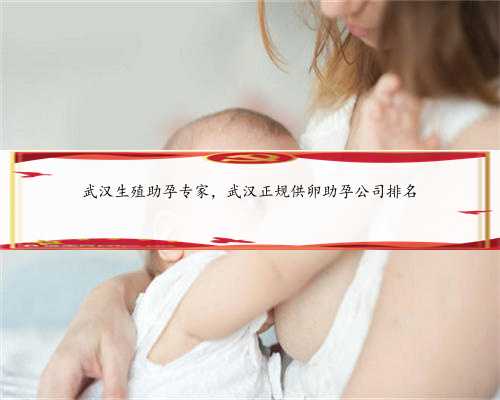 武汉生殖助孕专家，武汉正规供卵助孕公司排名