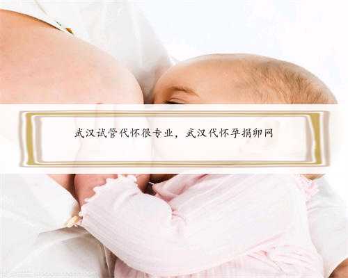 武汉试管代怀很专业，武汉代怀孕捐卵网