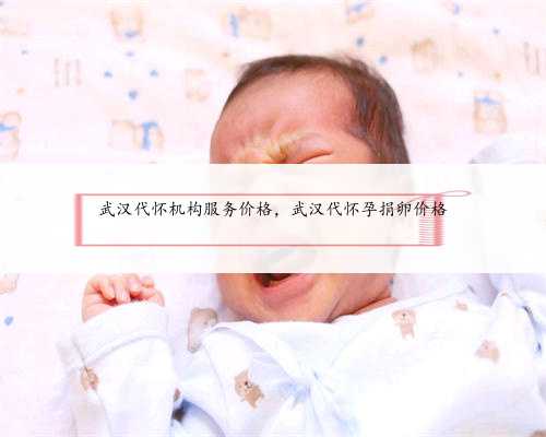 武汉代怀机构服务价格，武汉代怀孕捐卵价格