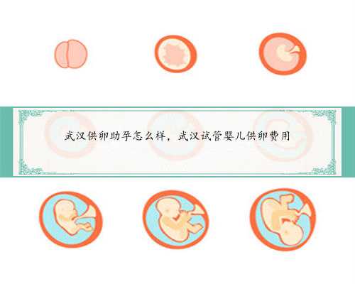 武汉供卵助孕怎么样，武汉试管婴儿供卵费用