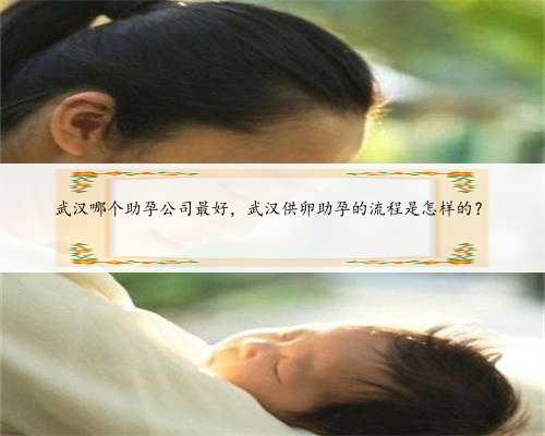 武汉哪个助孕公司最好，武汉供卵助孕的流程是怎样的？