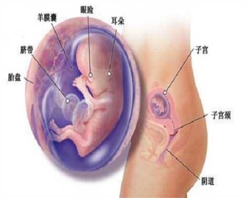 代孕网-正规的代孕妈妈公司-代孕妇尿检酮体2+严重吗