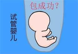 武汉901医院做供卵试管婴儿大概多少钱？2022武汉901医院供卵试管费用