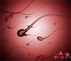 在武汉市立医院做三代试管可以移植两个胚胎生双胎吗？