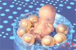 <b>湖北代生男孩机构,2023湖北供卵试管成功率前十医院附供卵三代生男孩费用清单</b>