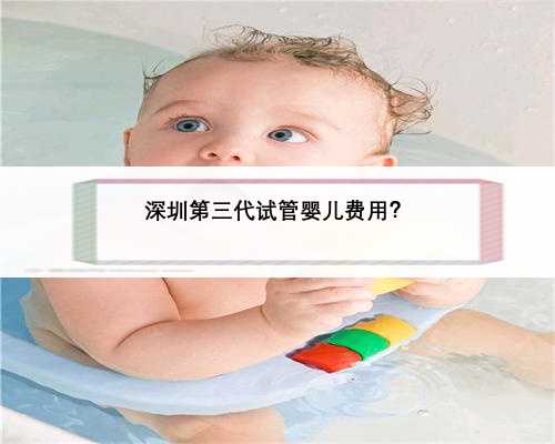 深圳第三代试管婴儿费用？
