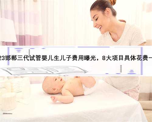 2023邯郸三代试管婴儿生儿子费用曝光，8大项目具体花费一览